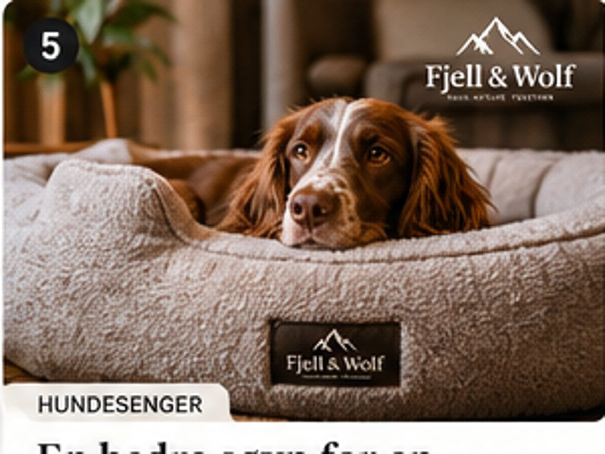 Fjell & Wolf: Slik finner du den perfekte hundesengen