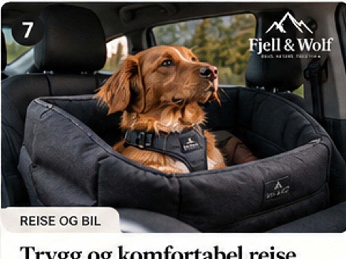 Fjell & Wolf: Pakkeliste for hunden – hva bør du ha med på tur?