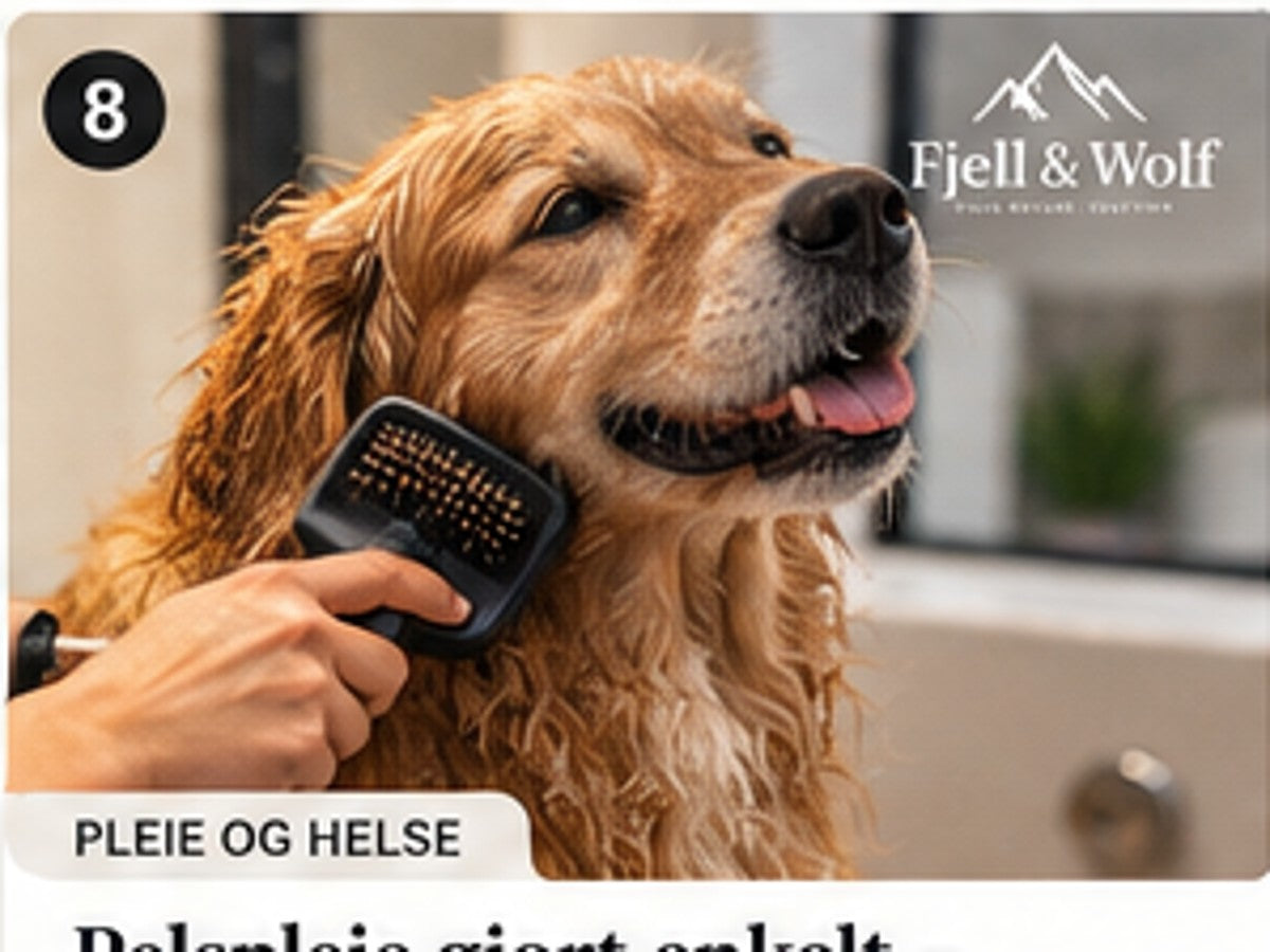 Fjell & Wolf: De beste lekene for hunder – moro, trening og trivsel