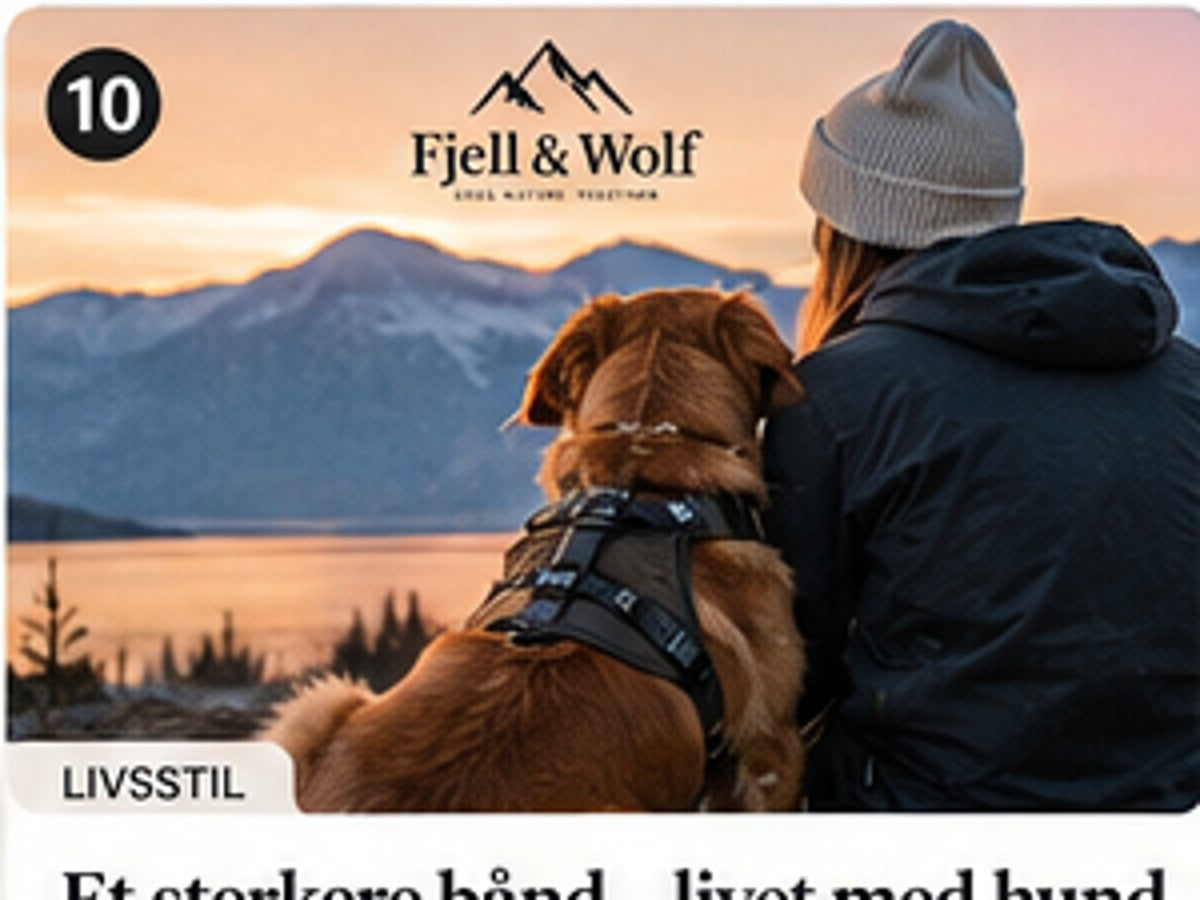 Fjell & Wolf: 5 viktige tips for en sunn og glad hund