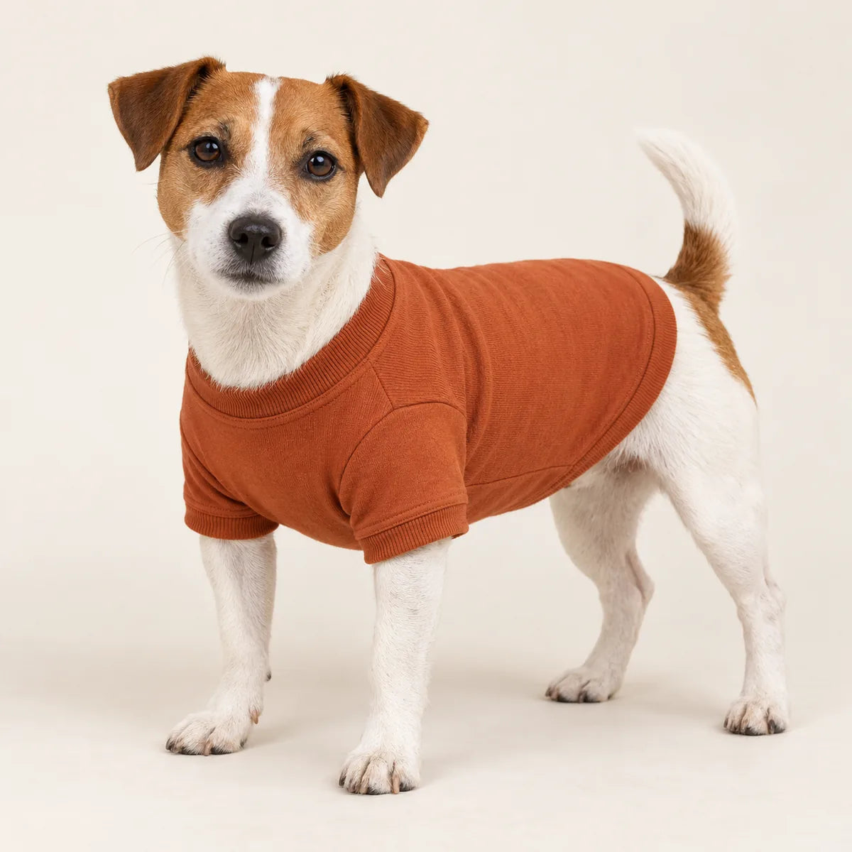 T-shirt till hund